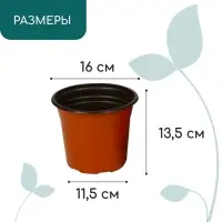Горшок для рассады, 1.7 л, d=16 см, h=13.5 см, мягкий пластик, терракот, Greengo