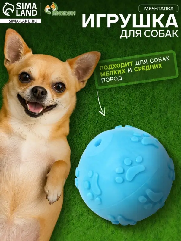 Игрушка для собак &laquo;Мяч-лапка&raquo;, 6 см, TPR, синяя