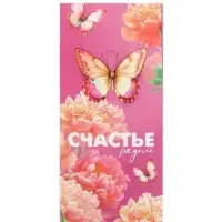 Конверт для денег «Счастье», 16.5×8 см