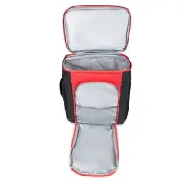 Термосумка AVS TC-20 (20 л.)