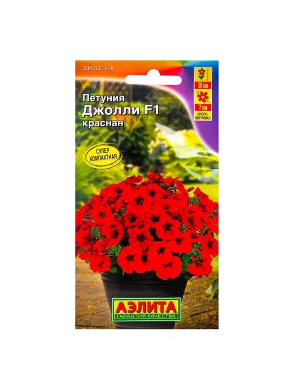 Набор семян Петуния Джолли красная F1 многоцветковая, 4 шт. Набор семян Петуния Джолли красная F1 многоцветковая, 4 шт.