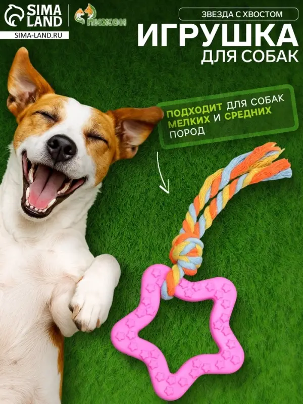 Игрушка жевательная с канатом &laquo;Звезда с хвостом&raquo;, розовая