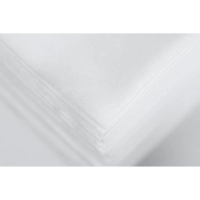 Салфетка спанлейс 20х30 см, белый, White Line, 100шт/упак, 10273(0612)