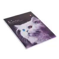 Блокнот А6, 40 листов на скрепке "Котята", МИКС