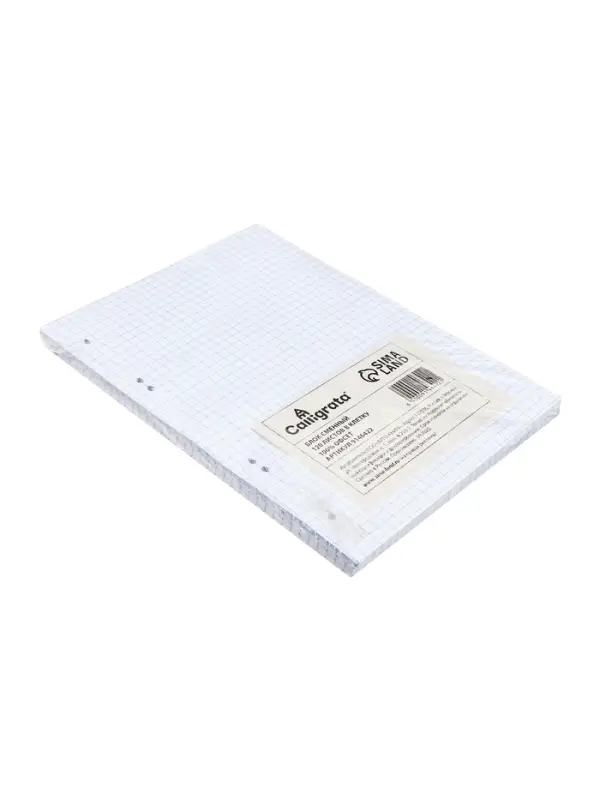 Сменный блок для тетрадей на кольцах А5, 120 листов, в клетку, Calligrata, блок офсет № 160 г/м&sup2;, белизна 100%