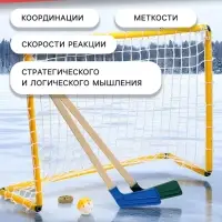 Набор для игры в хоккей (клюшка 2 шт., ворота, шайба, мяч), МИКС