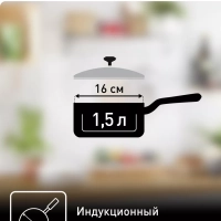 Ковш с крышкой Primary 1,5 л, 16 см, подходит для индукции