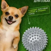 Игрушка для собак &laquo;Мяч массажный&raquo;, 9 см, пластикат, цвет МИКС