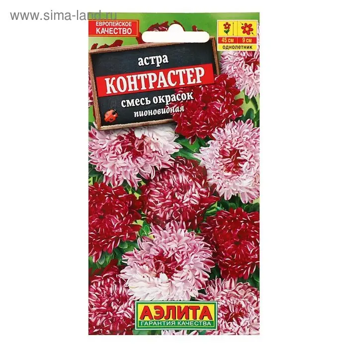 Семена Астра Контрастер, смесь окрасок Семена Астра Контрастер, смесь окрасок