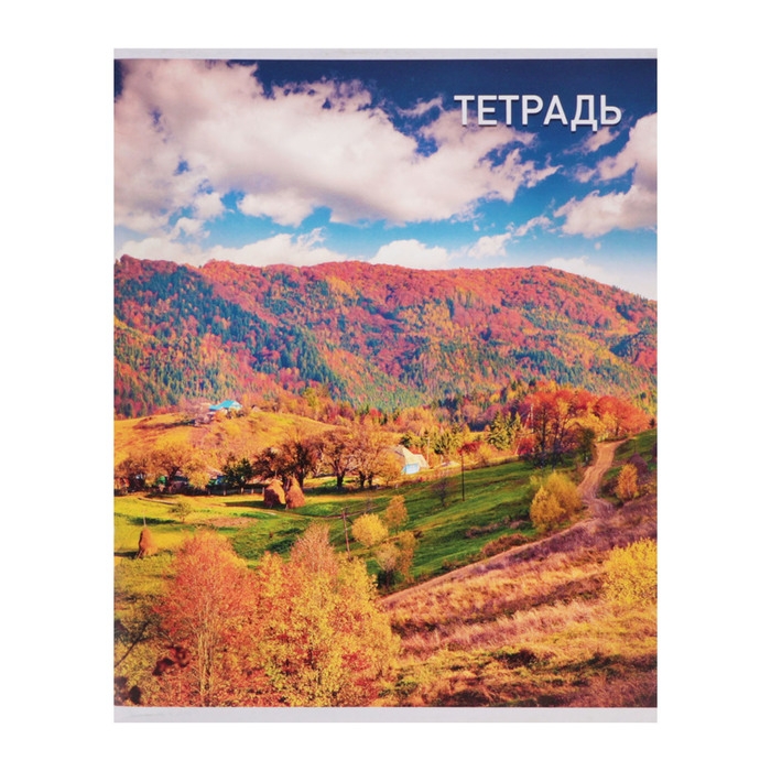 Комплект тетрадей из 4 штук, 96 листов в клетку Calligrata Комплект тетрадей из 4 штук, 96 листов в клетку Calligrata "Природа", обложка мелованный картон, блок №2, белизна 75% (серые листы)