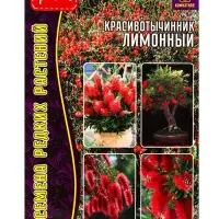 Семена цветов Красивотычинник Лимонный  0,01г. (30-40шт.)   12.29 г.