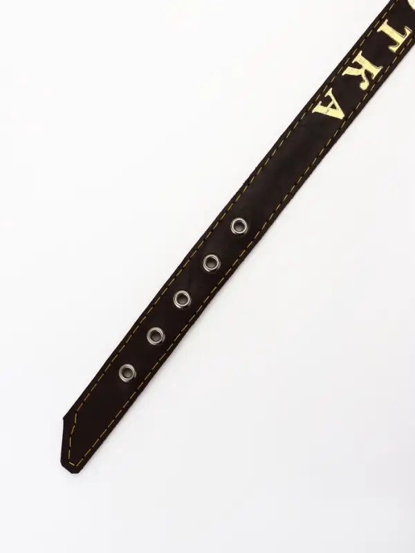 Ошейник &laquo;Красавчик&raquo;, 60&times;2.5 см, однослойный, тиснение фольгой, кожа, цвет МИКС