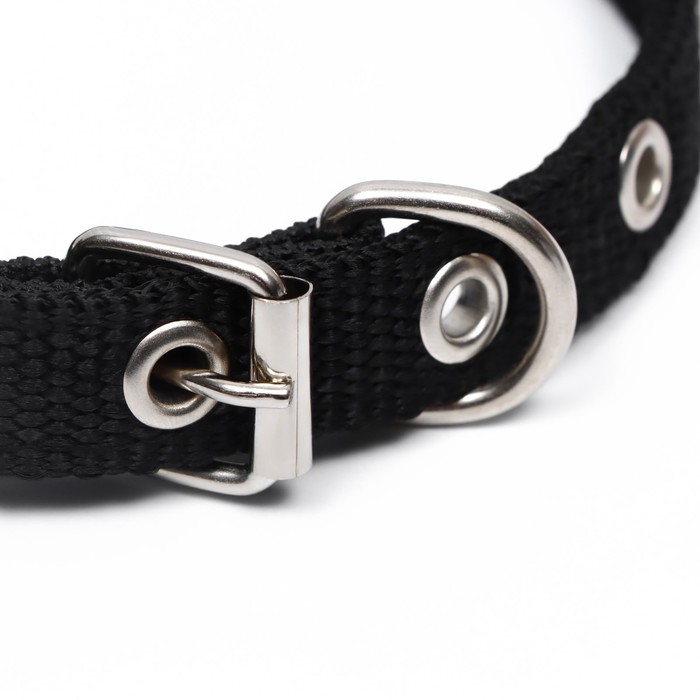 Ошейник Ошейник "Комфорт" комбинированный, 39 х 1,5 см, ОШ 26-33 см, чёрный