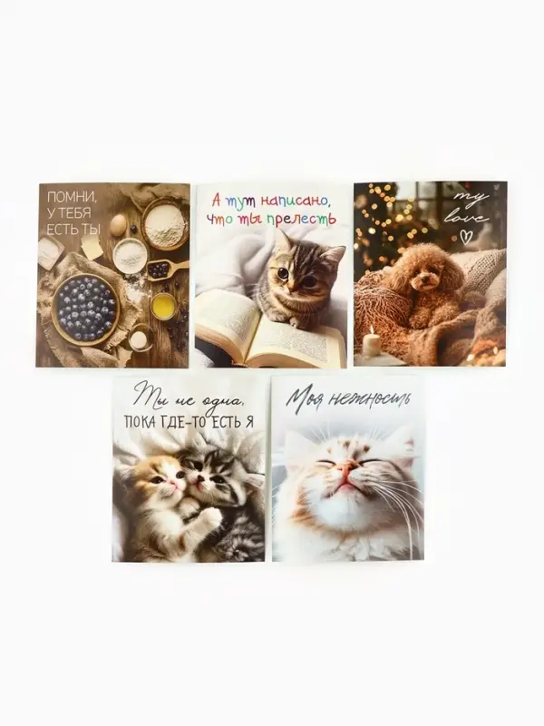 Набор мини-открыток в коробке со скрепками &laquo;Котики&raquo;, 35 штук, 8 x 10 см
