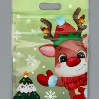 Пакет подарочный, с zip-lock застежкой, "Друзья дедушки Мороза", 15х22см МИКС Пакет подарочный, с zip-lock застежкой, "Друзья дедушки Мороза", 15х22см МИКС