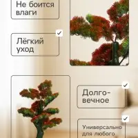 Дерево искусственное &laquo;Бонсай Кабудати&raquo;, h=70 см