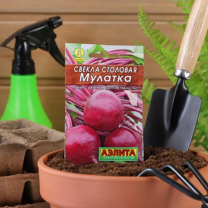 Семена Свекла  Семена Свекла "Мулатка" столовая "Лидер", 2 г ,