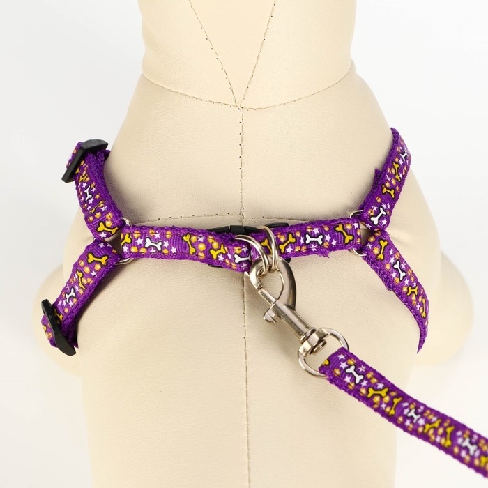 Комплект  Комплект "Звёздные косточки", ширина 1 см, поводок 120 см, шлейка 23-35 см, фиолетовый