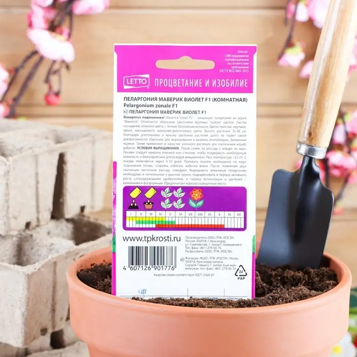 Семена комнатных цветов Пеларгония &laquo;Виолет&raquo;, 4 шт., &laquo;Агроуспех&raquo;