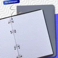 Тетрадь на кольцах Calligrata A5, 80 листов, в клетку, пластиковая обложка, блок офсет, серая