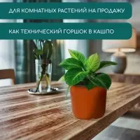 Горшок для рассады, 3.5 л, d=20 см, h=16 см, мягкий пластик, терракот, Greengo