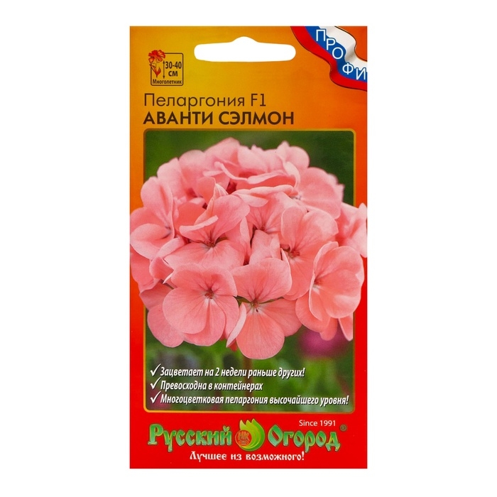 Цветы Пеларгония Аванти сэлмон F1 (5шт) Цветы Пеларгония Аванти сэлмон F1 (5шт)