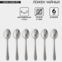 Ложки чайные Доляна &laquo;Симпли&raquo;, длина 15.2 см, набор 6 шт., нержавеющая сталь, серебристые