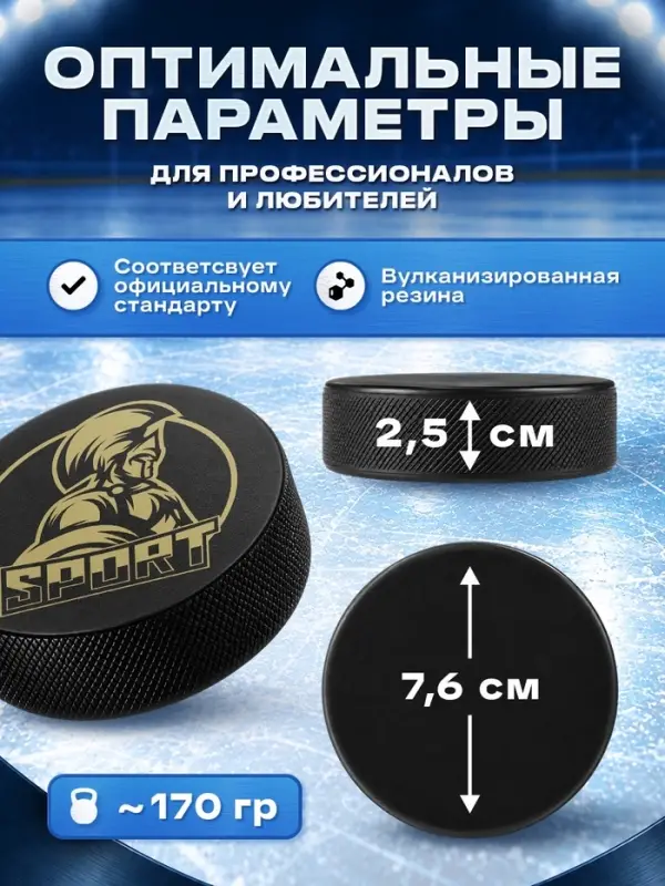 Шайба хоккейная Winter Star, взрослая, d=7.6 см
