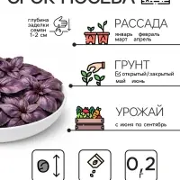 Семена Базилик овощной &laquo;Арарат&raquo;, 0.2 г, &laquo;Рецепты дедушки Никиты&raquo;