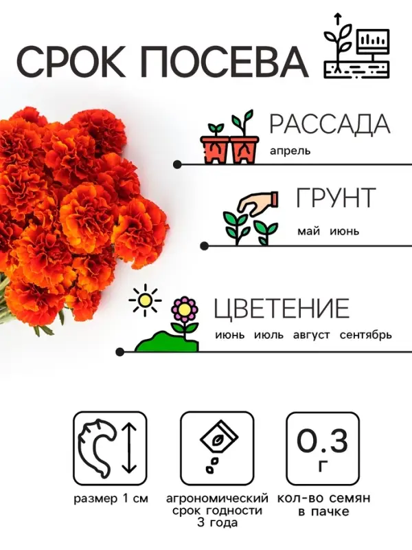 Семена цветов Бархатцы отклонённые (Тагетес) Семена цветов Бархатцы отклонённые (Тагетес) "Мерседес", 0,3 г