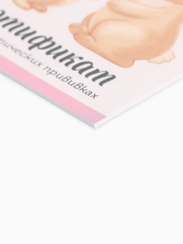 Сертификат о профилактических прививках А6, 24 страницы 10.5×14.8 см «Зайчик» Сертификат о профилактических прививках А6, 24 страницы 10.5×14.8 см «Зайчик»