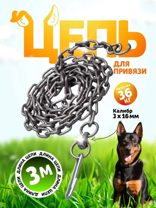 Цепь для привязи собак, 3 м, калибр 3&times;16 мм, черная