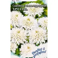 Семена цветов Скабиоза темно-пурпурная &laquo;Хрусталь&raquo; 0.2 г