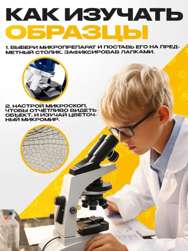 Набор для опытов &laquo;Набор микропрепаратов&raquo;, насекомые