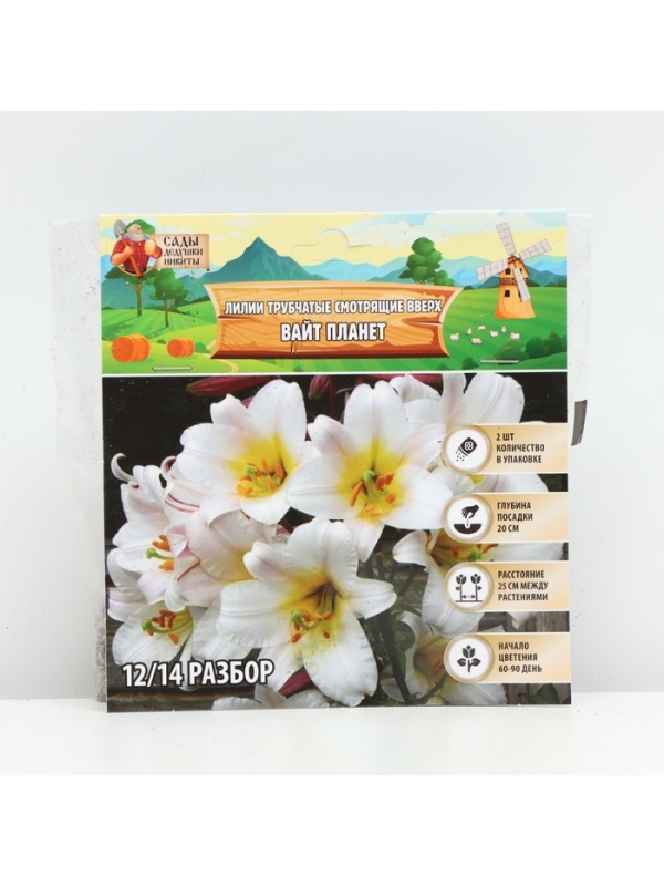 Лилии Трубчатые смотрящие вверх White Planet, луковица в пакете с перфорацией, р-р 12/14, 2 шт.
