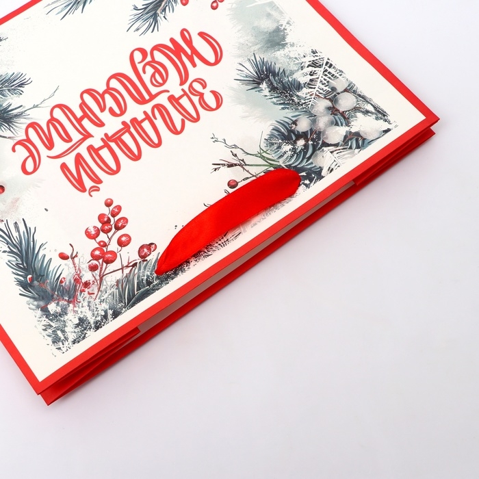 Пакет подарочный новогодний бумажный, Пакет подарочный новогодний бумажный, "Загадай желание", 24 х 20 х 11 см.