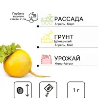 Семена Репа &laquo;Петровская 1&raquo;, серия &laquo;Лидер&raquo;, 1 г, &laquo;Агрофирма АЭЛИТА&raquo;