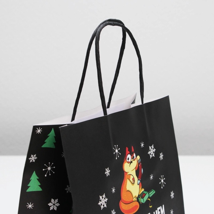 Пакет подарочный новогодний «Это лучше, чем ничего», 22 х 22 х 11 см Пакет подарочный новогодний «Это лучше, чем ничего», 22 х 22 х 11 см