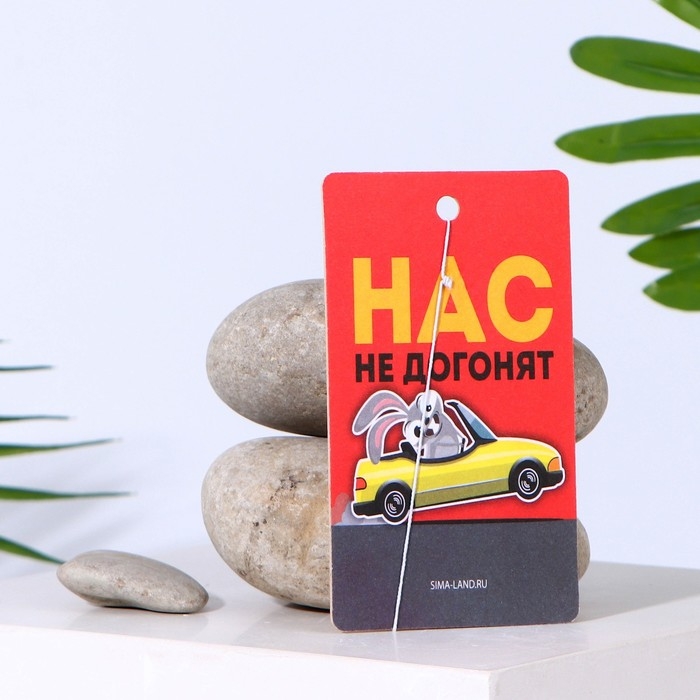 Ароматизатор в авто «Нас не догонят», аромат: цитрус Ароматизатор в авто «Нас не догонят», аромат: цитрус