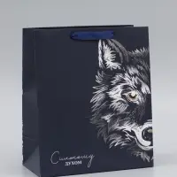Пакет подарочный ламинированный, упаковка, &laquo;Сильному духом&raquo;, ML 23&times;27&times;11.5 см