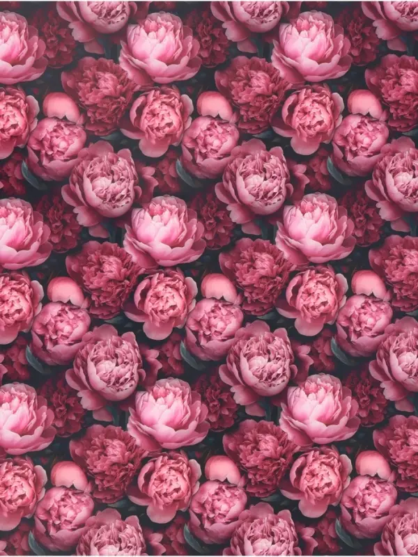 Бумага упаковочная, глянцевая &laquo;Пионы&raquo; 60&times;90 см