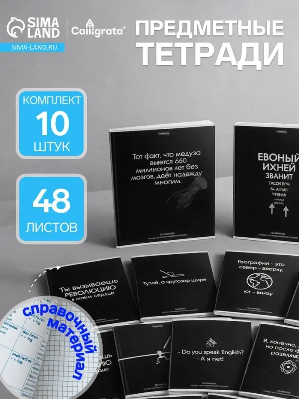 Тетради предметные &laquo;На чёрном&raquo;, 10 предметов, 48 листов, со справочным материалом, обложка из мелованного картона