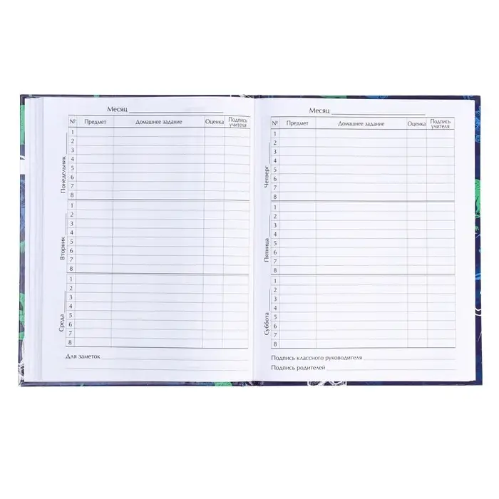 Дневник для 1-4 классов, "Динозавр 2", твердая обложка 7БЦ, глянцевая ламинация, 48 листов