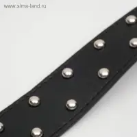 Ошейник клепаный в 2 ряда, 63,5 х 3,8 см, черный