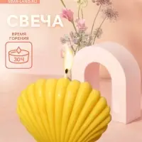 Свеча "Ракушка малая" 9х4х7,5 см, соевый воск МИКС