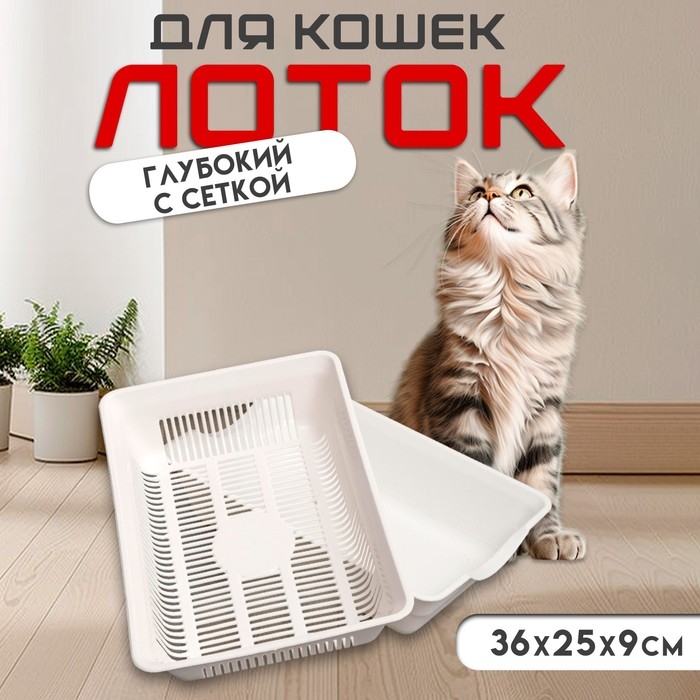 Туалет глубокий с сеткой 36 х 25 х 9 см, белый Туалет глубокий с сеткой 36 х 25 х 9 см, белый