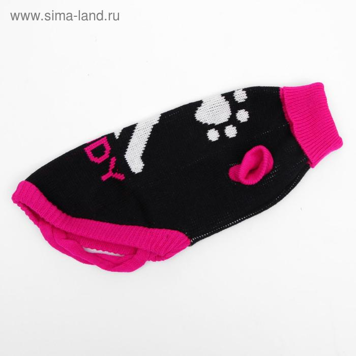 Свитер, размер 18 (ДС 50-65, ОШ 22-37, ОГ 38-53 см), микс расцветок Свитер, размер 18 (ДС 50-65, ОШ 22-37, ОГ 38-53 см), микс расцветок