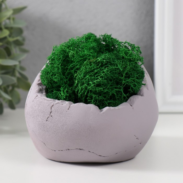 Кашпо бетонное Кашпо бетонное "Череп" высота 10 см серое со мхом (мох зеленый стабилизированный)