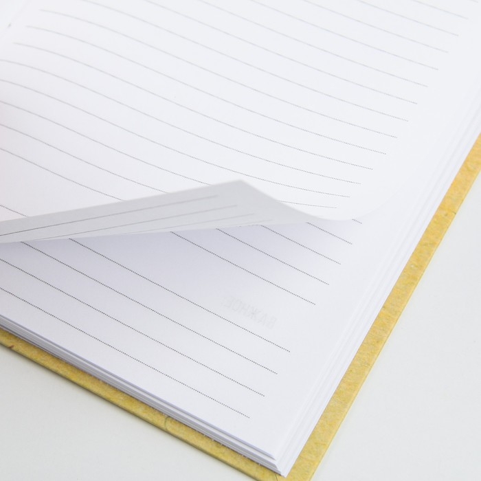 Ежедневник &laquo;Учителю: Золотого учителя&raquo;, формат А5, 80 листов, МИКС