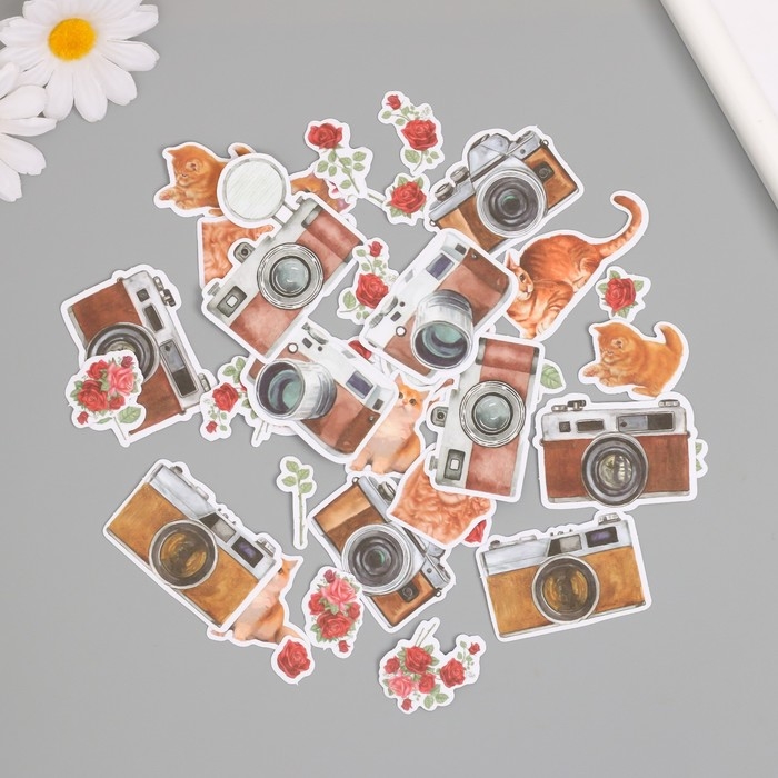 Наклейки для творчества Наклейки для творчества "Коты, красные розы и фото" 3,5х5 см набор 40 шт 9,4х8,4х0,5 см